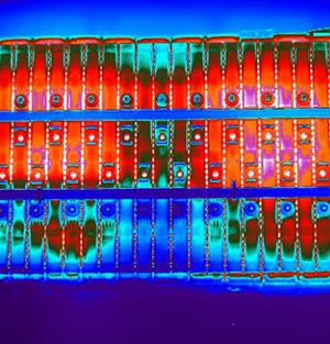 efd Lithium-Ionen-Miniaturansicht.jpg