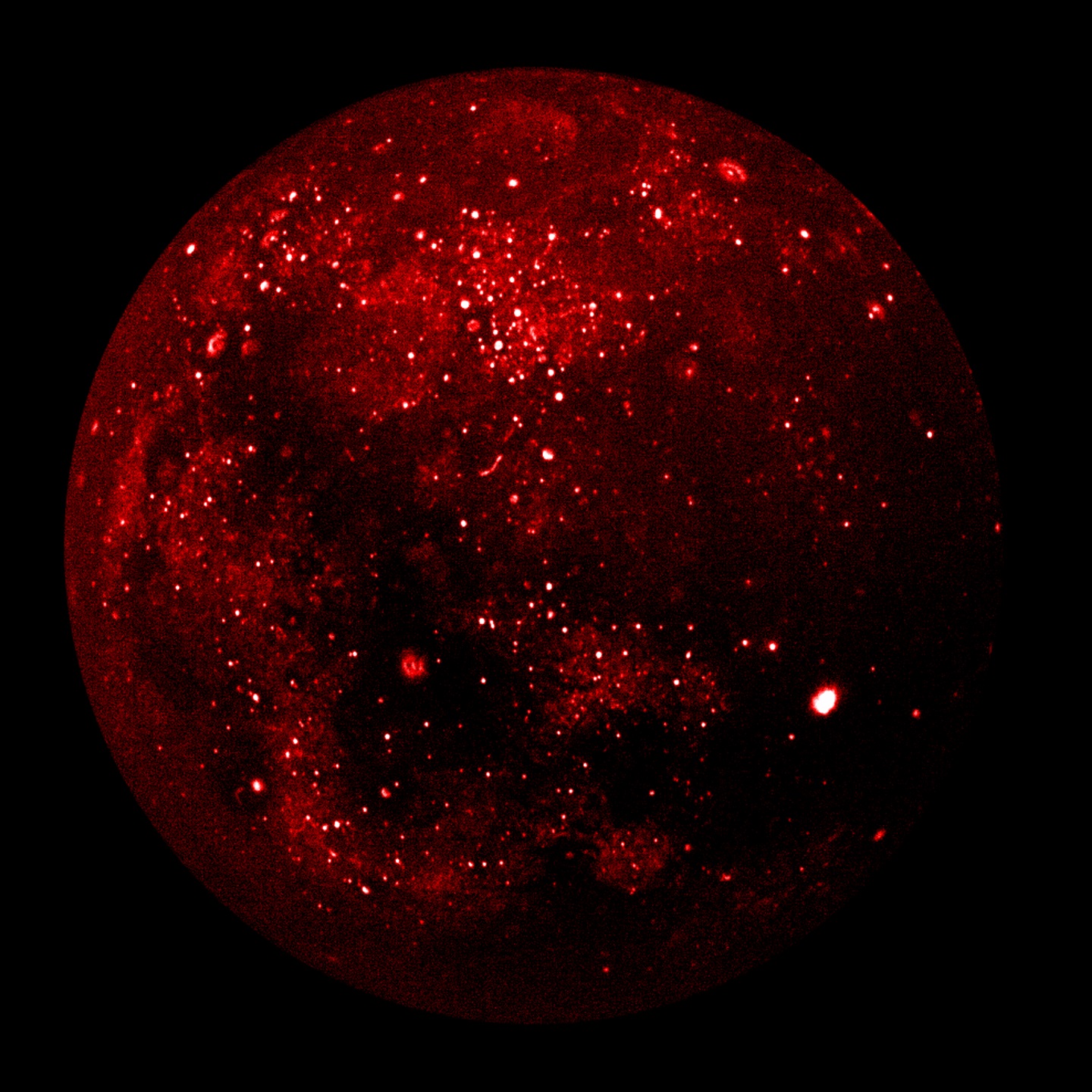 Bild der Mondfinsternis