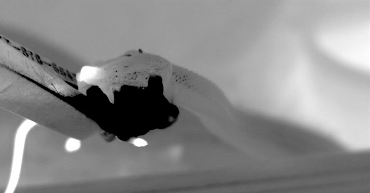 /globalassets/news/news-center/_blogmigrationfiles/flir-thermal-snake-feeding/snake-thumbnail-primary.jpg